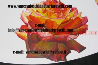 Atena Predatrice (Alcioneo), olio su tela di Vanessa Foschi, in creazione- Athena Predatory (Alcyoneus) , oil on canvas by Vanessa Foschi, in creation ITALY 2