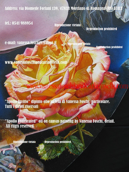 flora in the art Vanessa Foschi rose Apollo