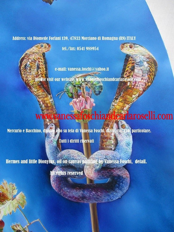 Hermes caduceus
