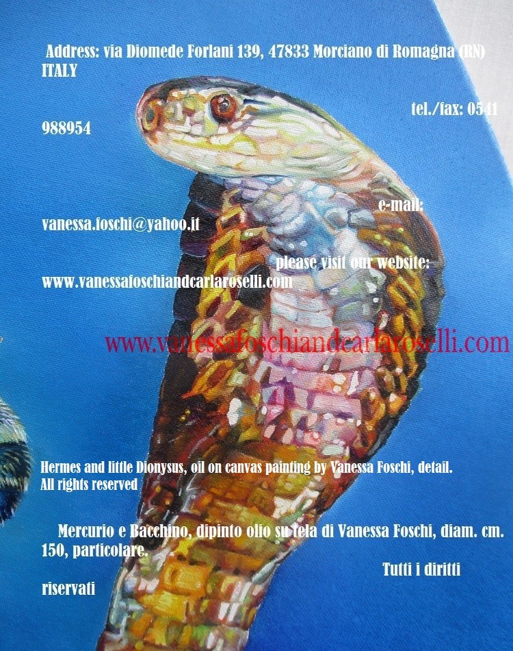 Hermes cobra शाही कोबरा